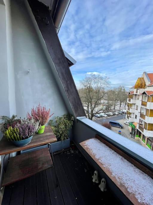 Przy Parku Z Bezplatnym Parkingiem Apartment